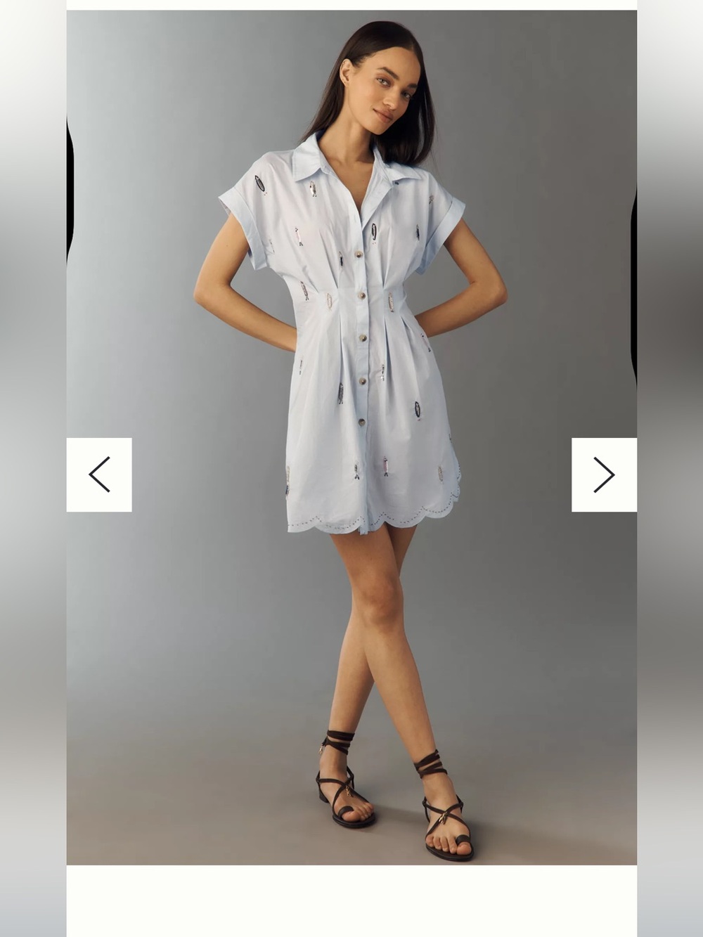By Anthropologie 100% Cotton Poplin Novelty Mini Shirtdress